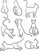 Line Cat Drawing Cats Silhouette Getdrawings sketch template