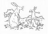 Much Guess Coloring Pages Hare Big Nutbrown Te Quiero Adivina Carefully Listen Charts Drawing Azcoloring 收藏自 Mom Cuánto Getcolorings Getdrawings sketch template