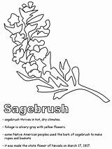 Sawtooth Mountans Coloring Designlooter Sagebrush Drawing Search Google sketch template