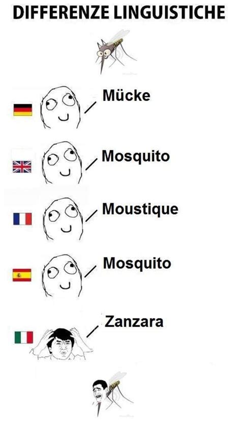 [image 271664] Differenze Linguistiche Know Your Meme