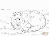 Coloring Wolf Pages Howling Arctic Pack Library Clipart Popular Line Adults sketch template