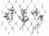 Fence Getdrawings Drawing sketch template