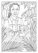 Goodall Chimpanzees sketch template