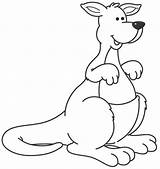 Canguros Kangaroo Infantil Animados Canguro Preto Menta Educación sketch template