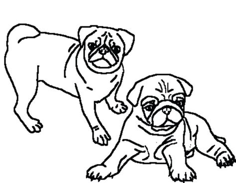 pug puppy coloring pages  getcoloringscom  printable colorings