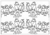 Family Bird Coloring Animals Kids Pages Print Animal Color sketch template
