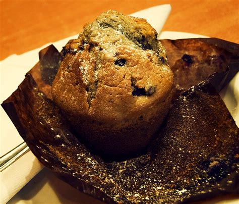 Close Up Blueberry Muffin Porn Mmm Yummy