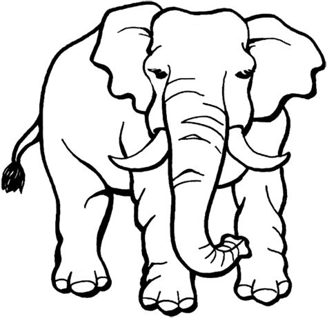 jungle animals coloring pages disney coloring pages