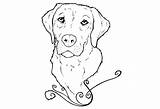 Labrador Lab Coloring Retriever Pages Golden Yellow Drawing Dog Line Puppy Drawings Printable Chocolate Sketch Science Colouring Head Kids Draw sketch template