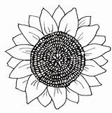 Girasol Girasoles Colorear Sunflowers Pintarcolorear Petalos Gogh Moldes Plasma Flor Molde Bordar sketch template