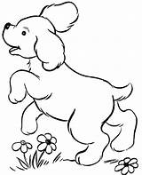 Anjing Mewarnai Lucu Binatang Kartun Diwarnai Sketsa Menggambar Hebat Imut sketch template