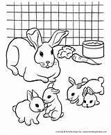 Coloring Pages Rabbit Pets Rabbits Pet Cage Colouring Fun Printable Color Different Pre Honkingdonkey Recognize Educational Varieties Species Activity Students sketch template