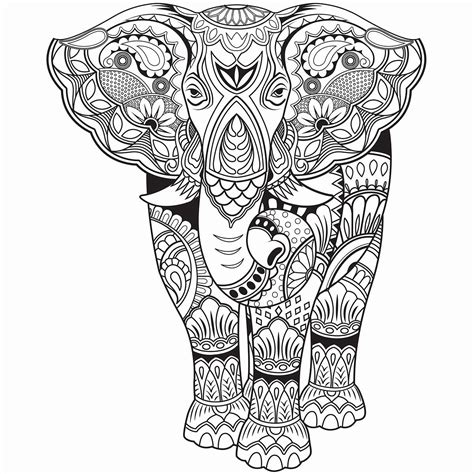 elephant coloring page  adults luxury elephant zentangle