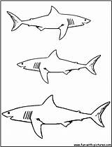 Coloring Shark Pages Megalodon Great Printable Drawing Color Plesiosaur Getdrawings Bull Skill Fun Getcolorings Popular sketch template