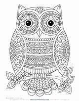 Coloring Patterned Owl sketch template