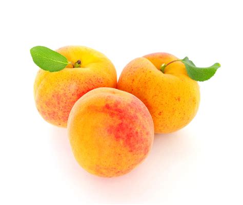 healthy lifestyle  apricots