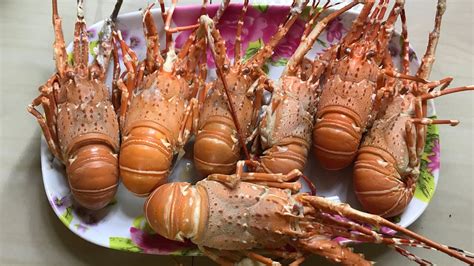 memasak udang lobster kecil mudah youtube