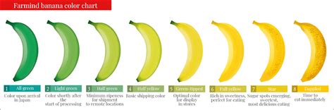 banana color chart