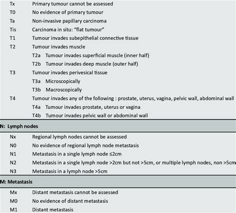 2002 Tnm Classification Of Urothelial Carcinoma Of The Bladder T