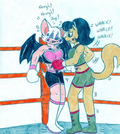 Boxing Kitty Vs Rouge By Jose Ramiro On Deviantart
