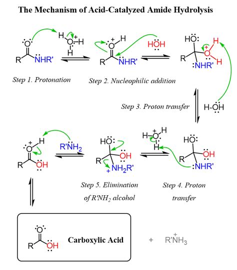 amide hydrolysis acid  base catalyzed mechanism chemistry steps