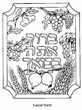 Sukkot Etrog Sukkah Barley Lulav Feast Tabernacles Familyholiday Torah Menorah sketch template