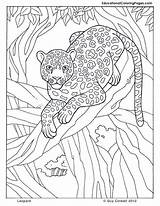 Coloring Pages Adult Safari Jungle Colouring Leopard Popular sketch template