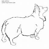 Coloring Pages Corgi Dog Fluffy Color Printable Getcolorings Own Biscuit Drawings sketch template