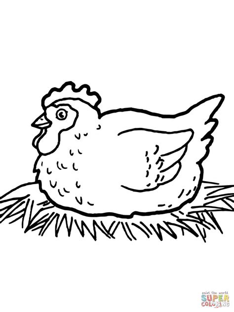 chicken clipart coloring page chicken coloring page transparent