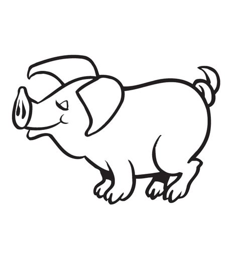 coloring pages  pig images animal place