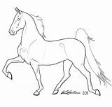 Horse Lineart Gaited Deviantart Horses Line Coloring Pages Drawings Drawing Saddlebred American Clip Cliparting Color Donkeys Paint Cartoon Choose Board sketch template
