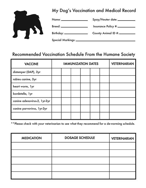 printable canine vaccine record work