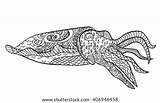 Cuttlefish Coloring Adult Drawn Doodle Antistress Vector Details High Therapy Shutterstock Zentangle Tattoo Animal sketch template