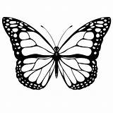 Butterfly Coloring Pages Printable Kids Butterflies Print Color Colour Sheets Printables Sheet Printing Schmetterling Multiple Fly бабочки Book Drawing Lots sketch template