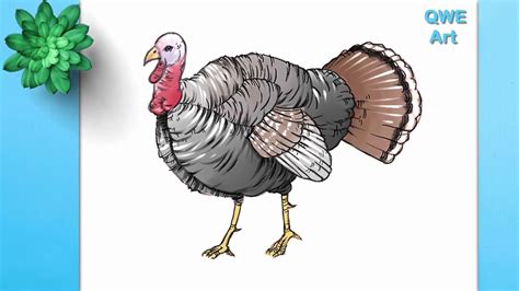 draw  turkey  howtocrochetanimals