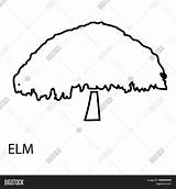 Elm sketch template