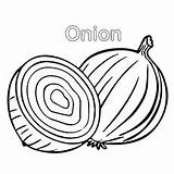 Onion Coloring Edible Onions Getcolorings Getdrawings sketch template