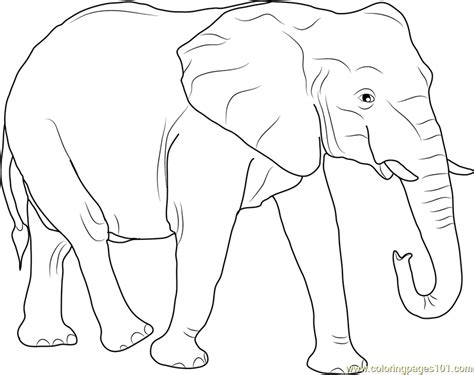 elephant  animal coloring page etsy elephant color vrogueco