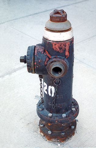 fire hydrant summons    parked   front