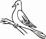 Pigeon Coloring Pages Outline Drawing Clipart Color Pigeons Gif Printable sketch template