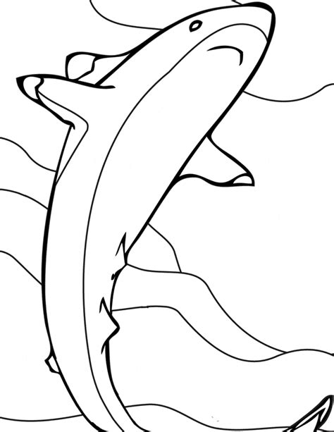 reef shark coloring page animals town animals color sheet reef