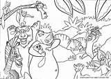 Madagascar Gloria Cartoons Coloring Pages sketch template