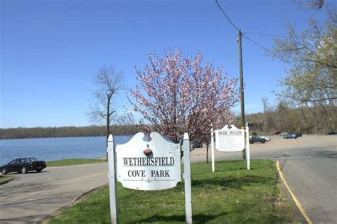 cove park picture   wethersfield wethersfield tripadvisor