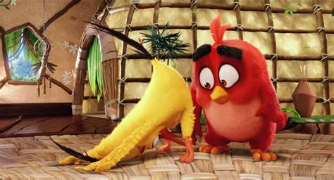 Image Abmovie Chuck Downward Duck Png Angry Birds Wiki