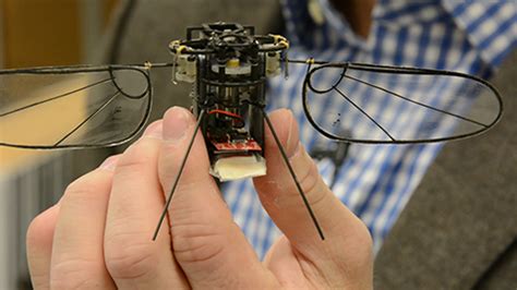 insects  scientists design  build smaller drones cns maryland