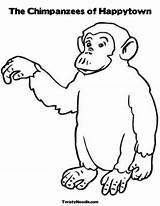 Bonobo Chimpanzee sketch template
