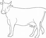 Coloring Pages Vache Cow Beef Coloriage Dessin Imprimer Gratuit Printable Colorier Color Getcoloringpages Getdrawings Getcolorings sketch template