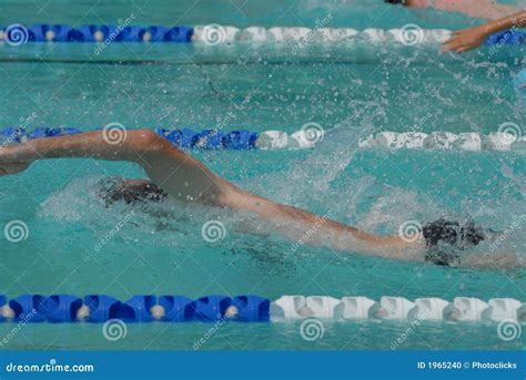 freestyle swimmer racing stock photo image  competitive
