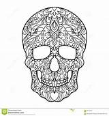 Coloring Skulls Skull Pages Abstract Adult Stress Anti Adults Zentangle Book Template Dreamstime sketch template