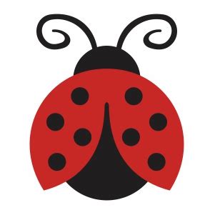 ladybug svg beetle svg cut file  jpg png svg cdr ai